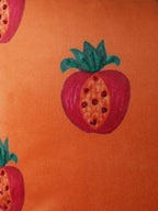 Mera Angana Anar Cushion