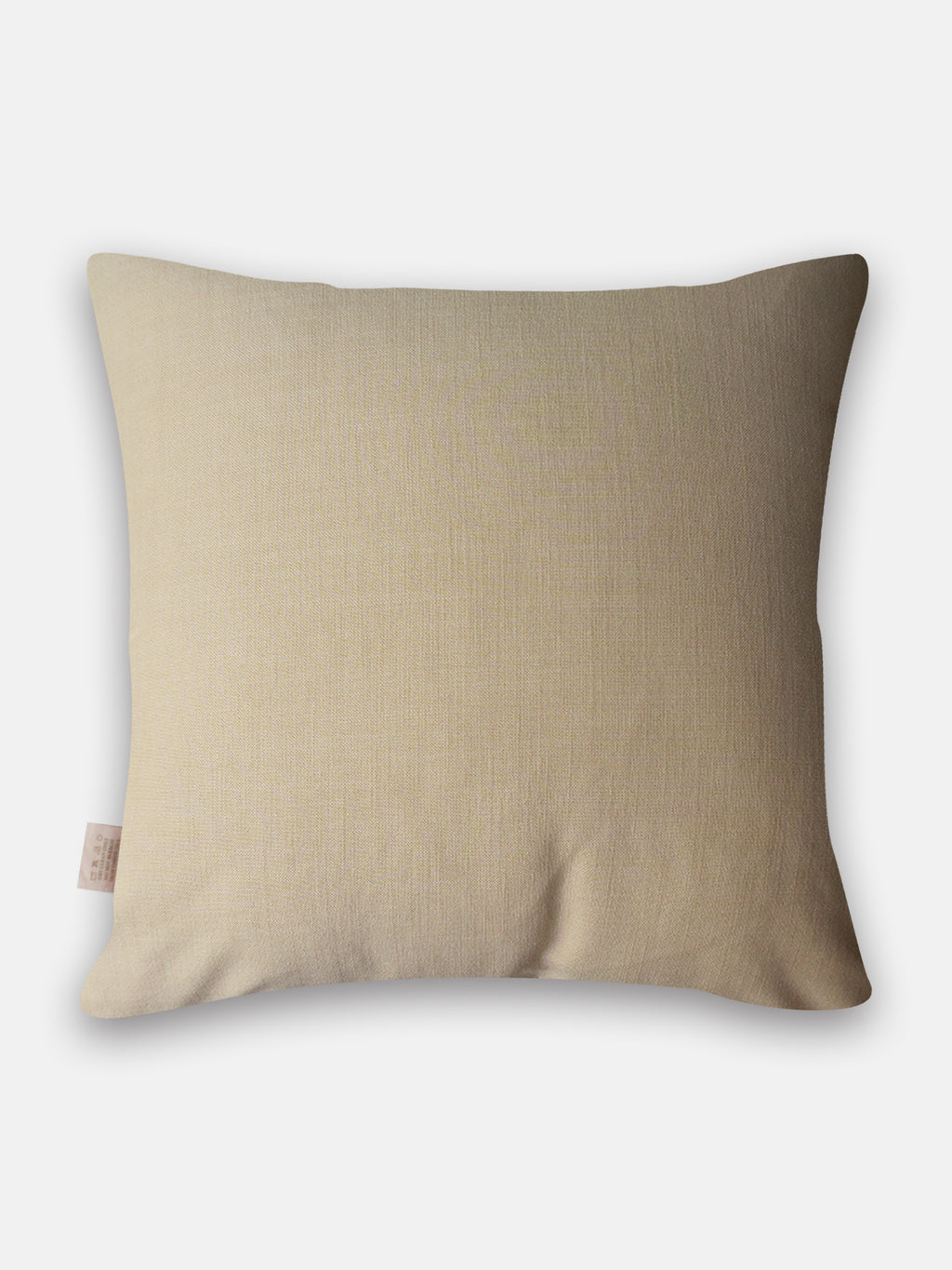Embellished Garden Rang Talaab Cushion