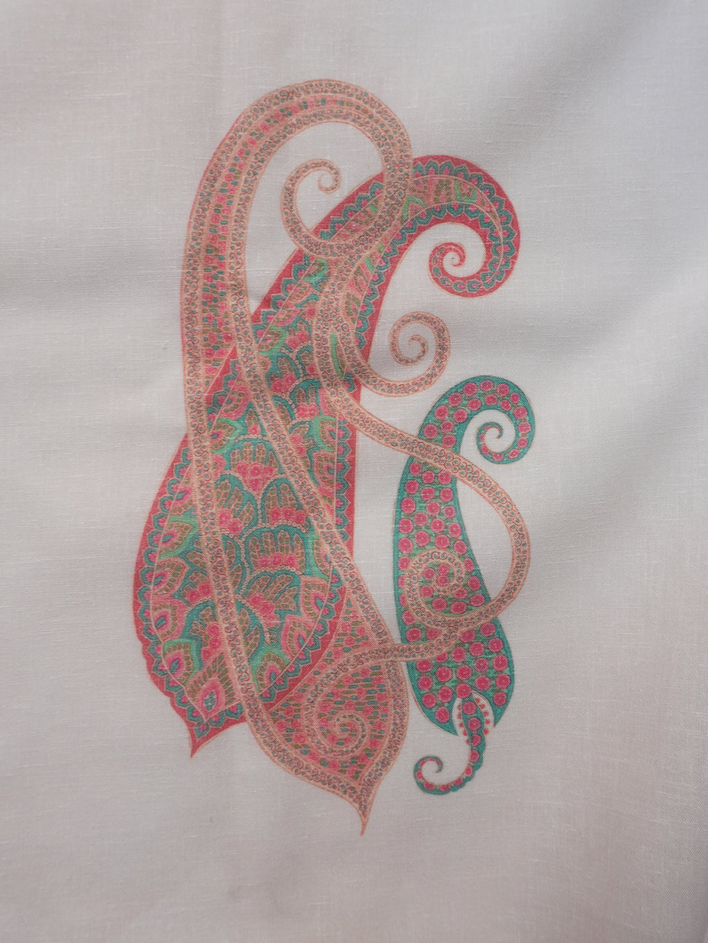 Aafreen Paisley Sheer Fabric