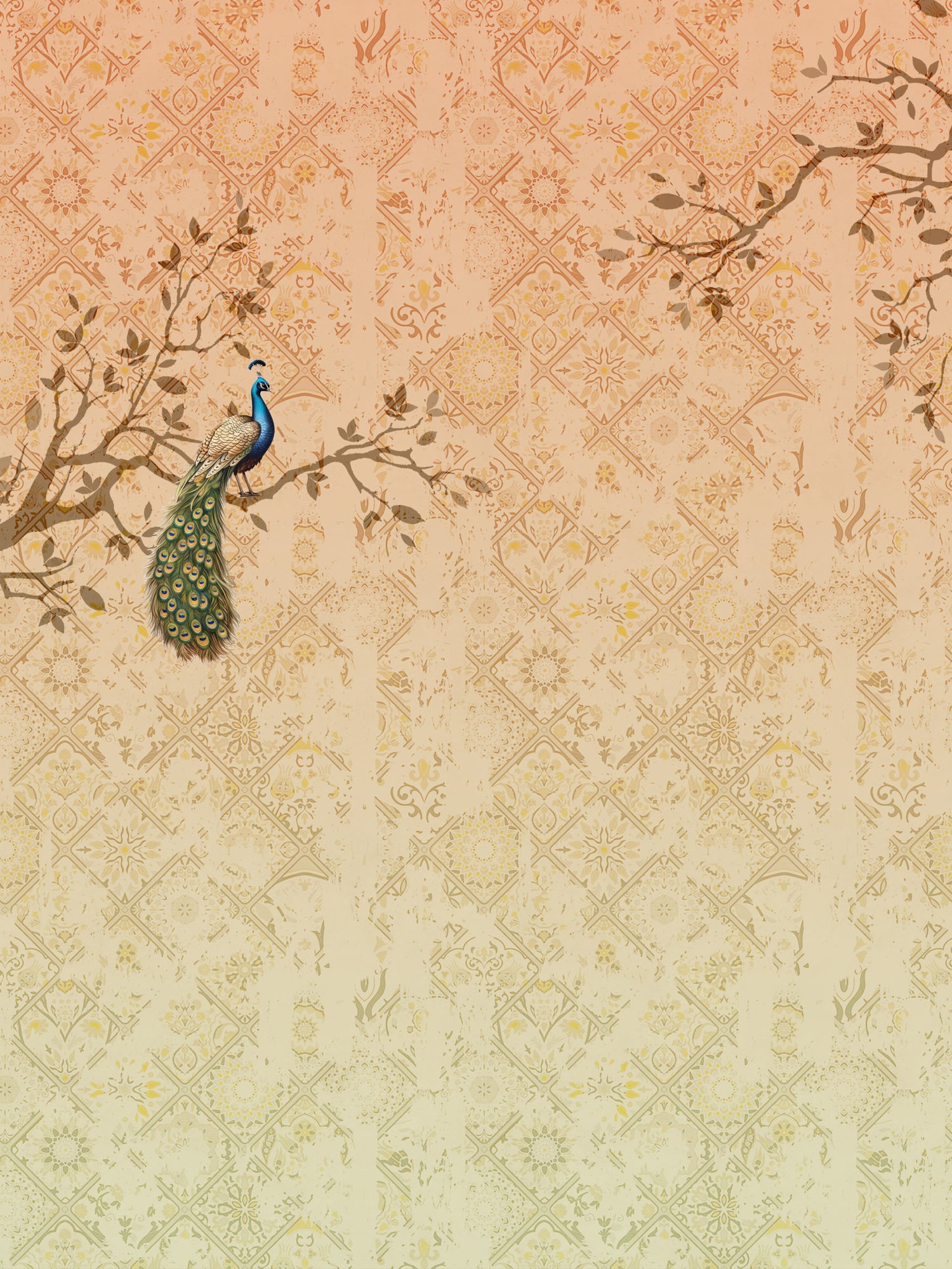 Peacock Serenity