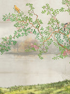 Garden Reflections